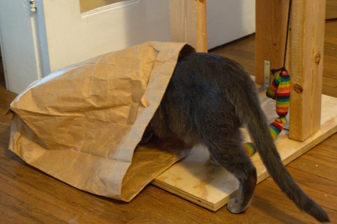 If boxes don't fit your cat toy budget, bags are also be very popular.